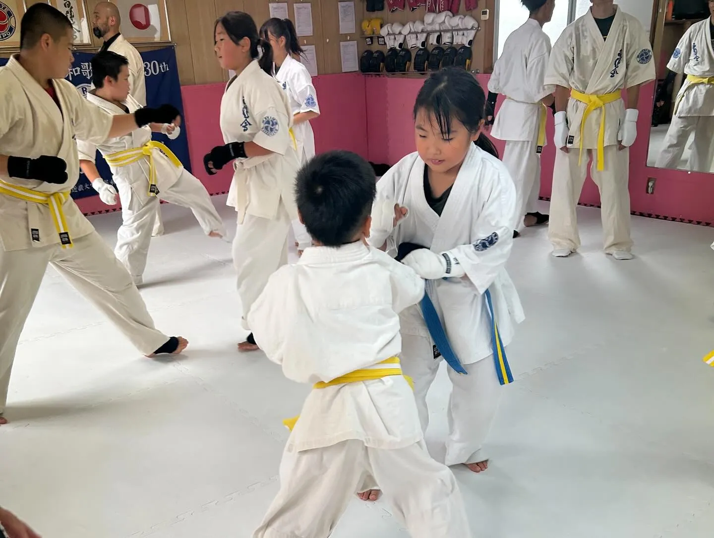 昇級審査＆研修会