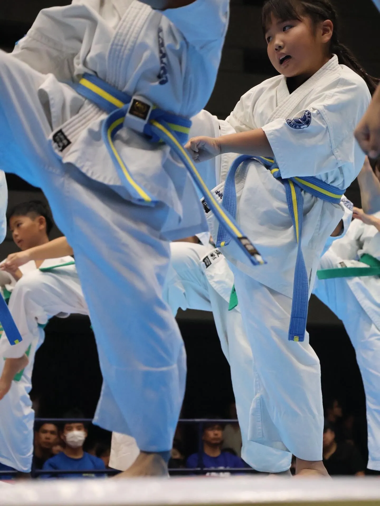 10/12.13 白蓮会館 全日本大会