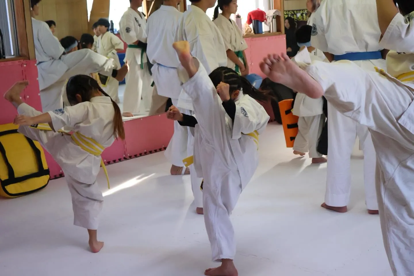 12/7 有本道場 昇級審査、研修会✨